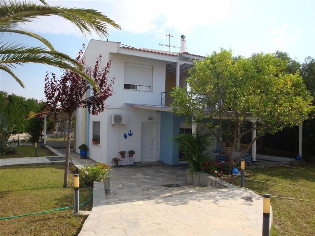 فيلا Wonderful House With Private Garden فلوغيتا المظهر الخارجي الصورة