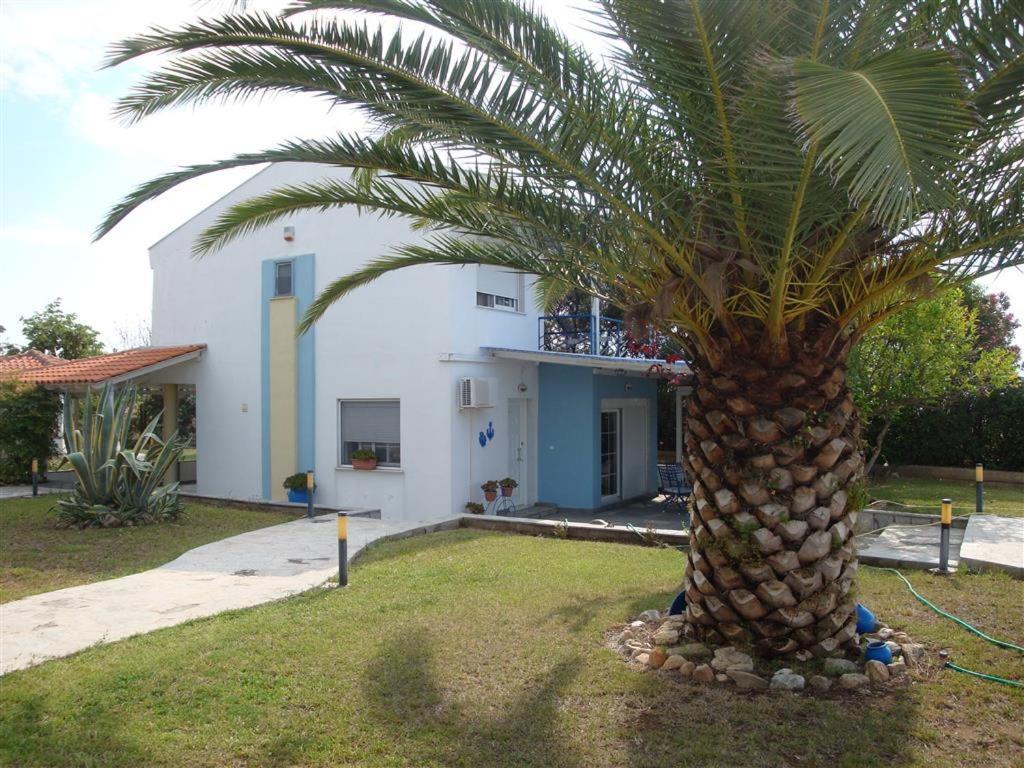 فيلا Wonderful House With Private Garden فلوغيتا المظهر الخارجي الصورة