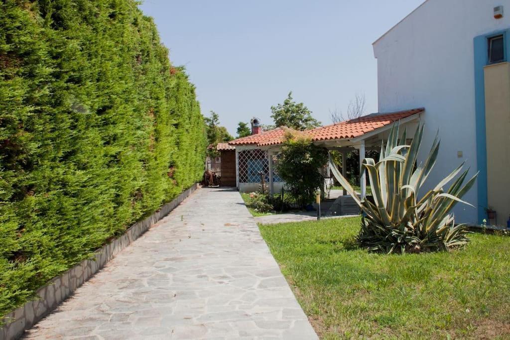 فيلا Wonderful House With Private Garden فلوغيتا المظهر الخارجي الصورة